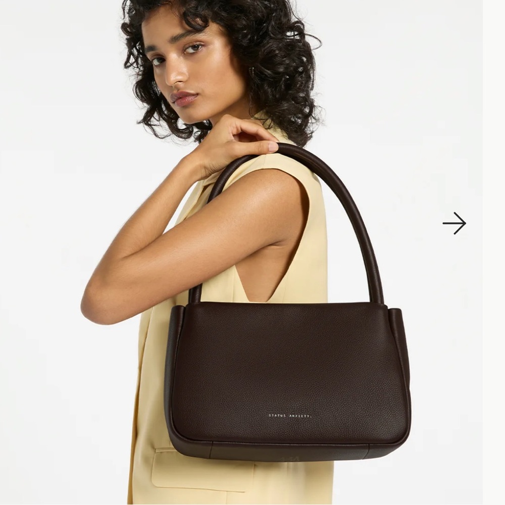 Status Anxiety Brown Light Of Day Bag